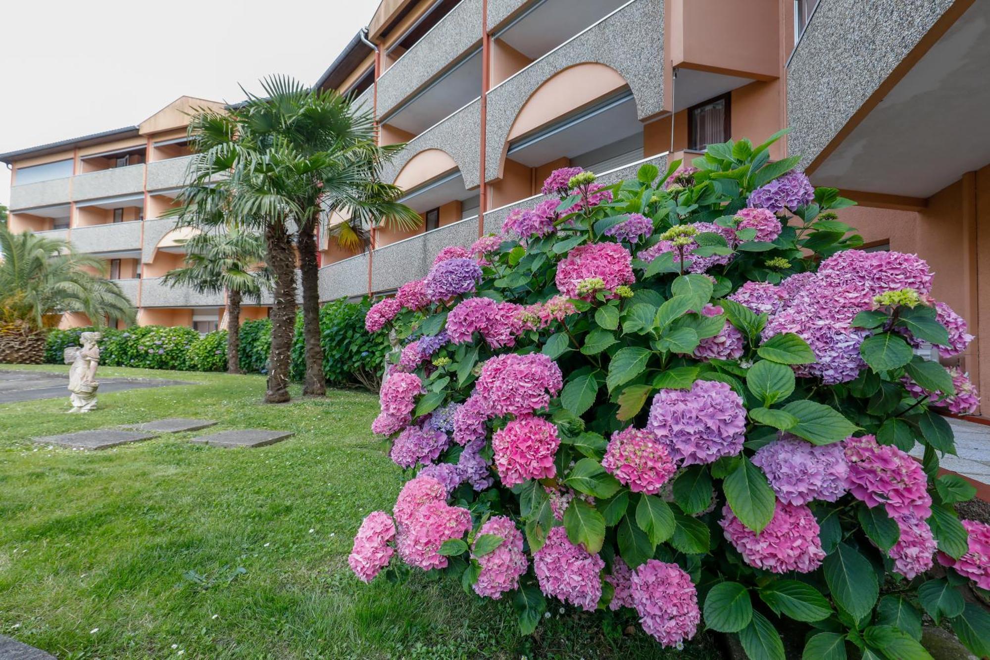 Les Terrasses De Borda*** Hotel Dax Eksteriør billede